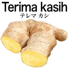 Flesh Ginger 15
