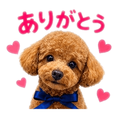 aoao_20260429155237