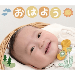 Osugi_20260429155430