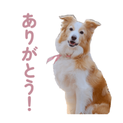 berun_20260429160147