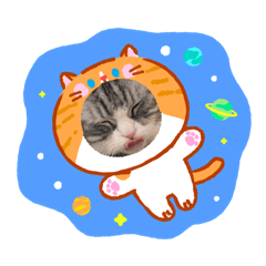 ChamaTanyaTama_20260429155936