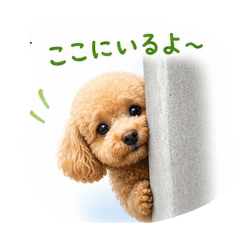 hidamari_20260429155615