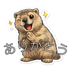 kanahebi_20260429155640