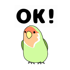 bird illustration to say OK.