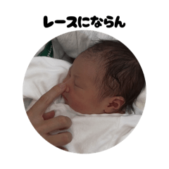 miicq_20260429160317