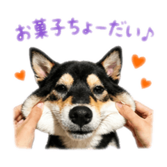 Kohei_20260429160002