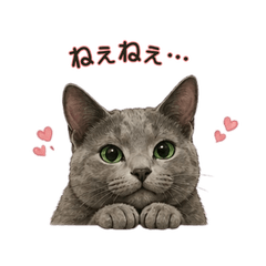 Sion the Quiet Pressure Cat