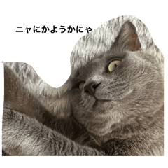 ASAYAN_20260429161551