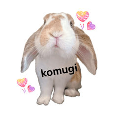 erika ayasouta_20260429161153