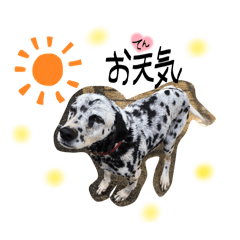 Ohina_20260429160945