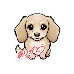 cocoa_20260429162318