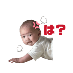 jiji_20260429161730