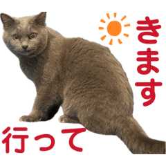 TARO_20260429163644