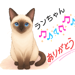 cochan_20260429163354