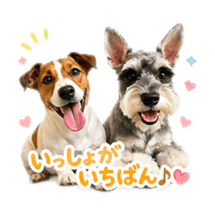 Tnakaya_20260429162828