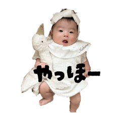 koha_20260429162653