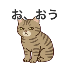 sasa_20260429164245