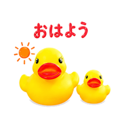 donguri_20260429165106
