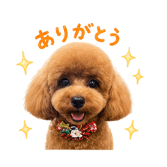 yasu_20260429170249