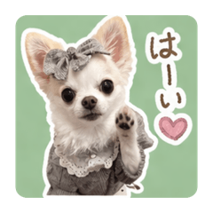 yumiyumi_20260429165820