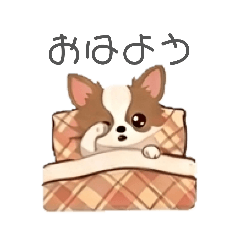 Chihuahua Pino's Stickers