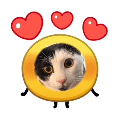 maru_20260429171509