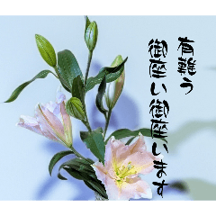 tanakaharumi_20260429182102