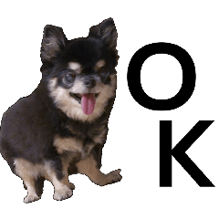 ran_20260429204429
