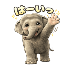 Donald_20260429205013