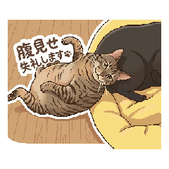 555555555_20260429140519