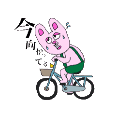 nekoze_20260429150037