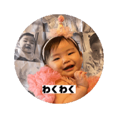 shiho_20260429160134