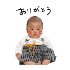 wachisachi_20260429172933