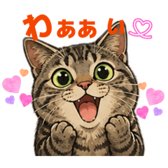 mimosa_shijimi