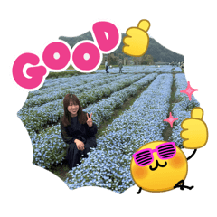 NK_20260429182458