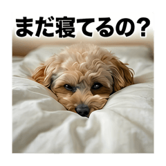 Arika_20260429181651