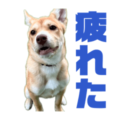 kazuki_20260429183521