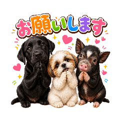 kou_20260429183616