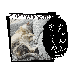 catys_20260429202013