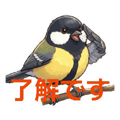 minoru_20260429203813