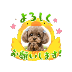 mina_20260429234308