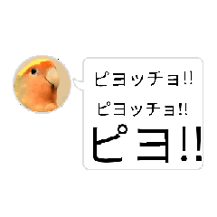 KyonKyon_20260429220120