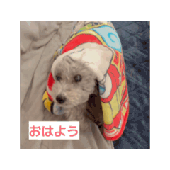 Kino_20260430011815