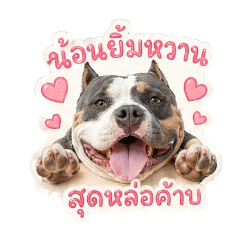 jeawshop_20260429124740