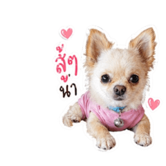 kae_20260429135328
