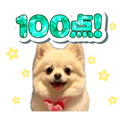 kinya_20260429173525