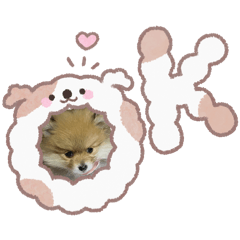Kon_20260429174045