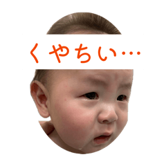 terute_20260429173839