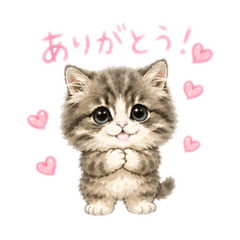 ami_20260429174513