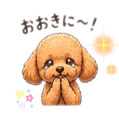 TOMOMI_20260429173529